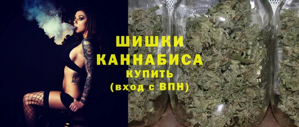 стаф Верхний Тагил