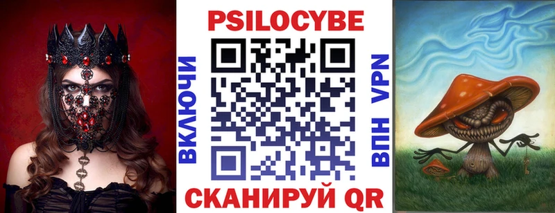 Псилоцибиновые грибы Psilocybe  Славянск-на-Кубани 