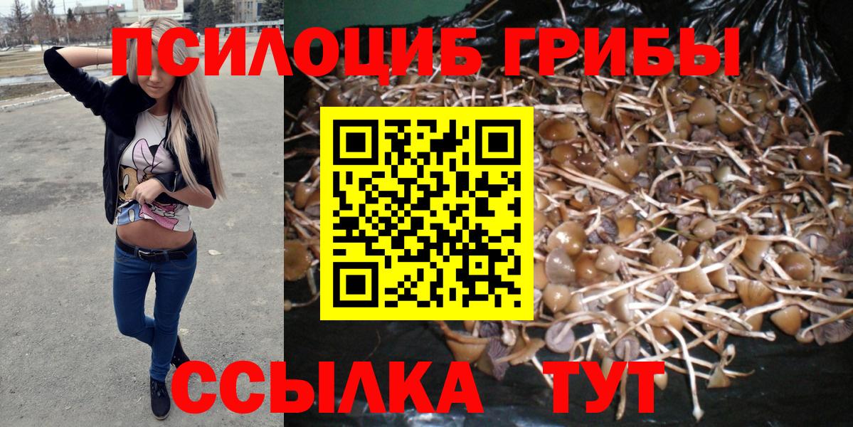 Галлюциногенные грибы Cubensis  Вход с VPN  Славянск-на-Кубани  Псилоцибиновые грибы MAGIC MUSHROOMS 